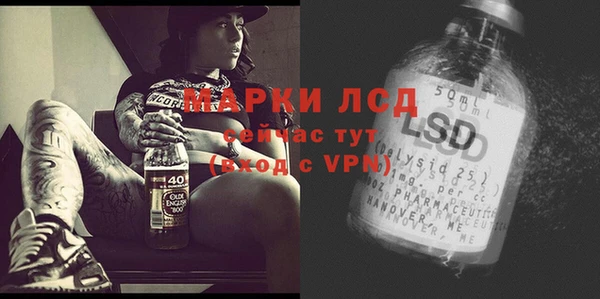 spice Володарск