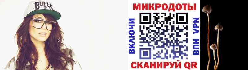 Галлюциногенные грибы Psilocybine cubensis  Лыткарино 